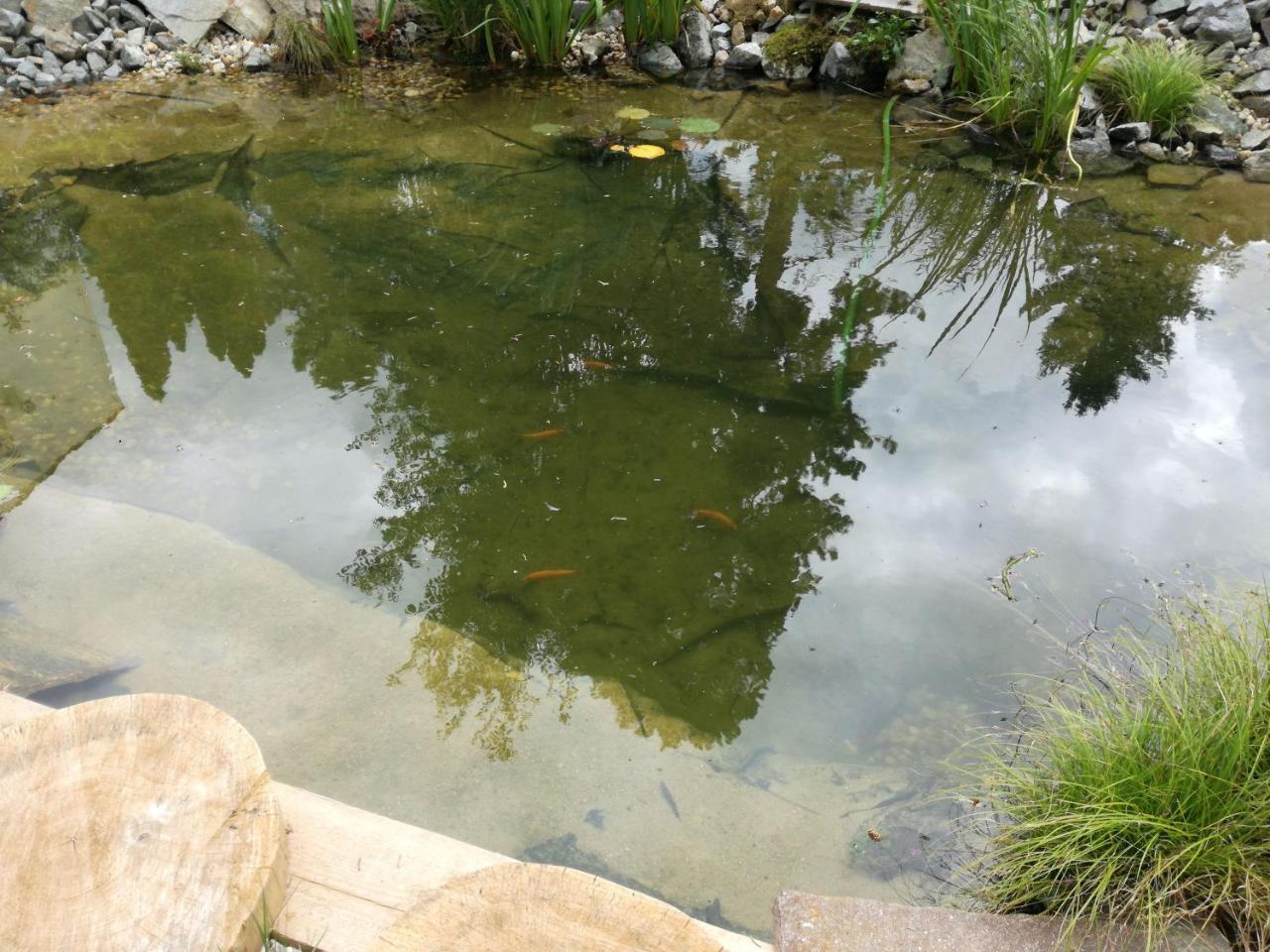 Hotel Hlaska Zlenice ภายนอก รูปภาพ